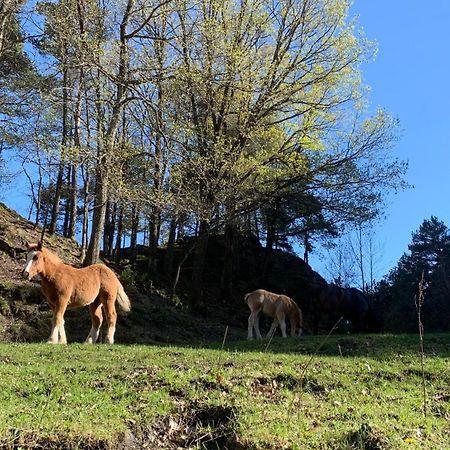Appartement A Ordino Εξωτερικό φωτογραφία